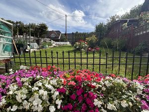 Garden- click for photo gallery